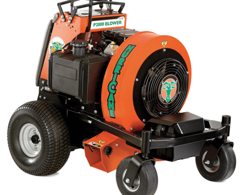 Stand-On Leaf Blower