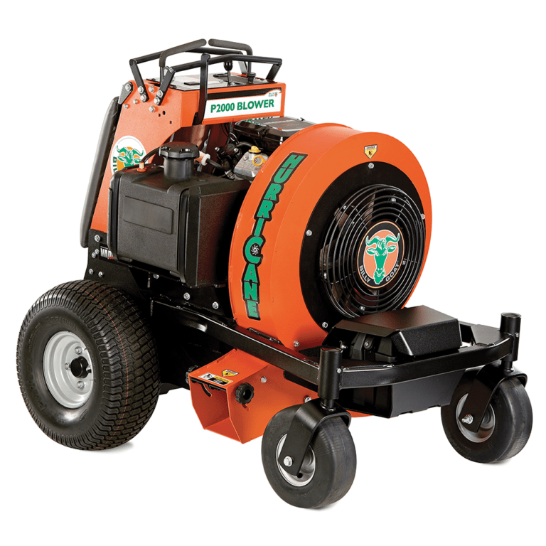 Stand-On Leaf Blower