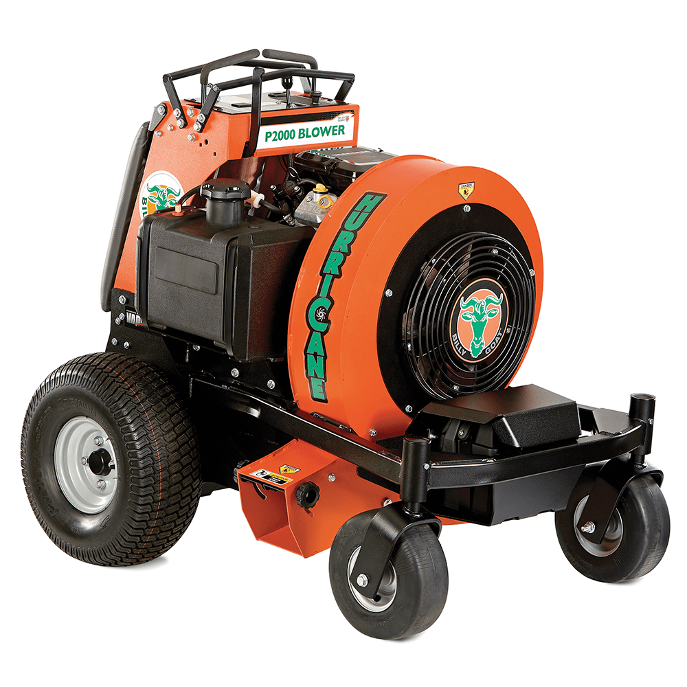 Leaf Blower Rental